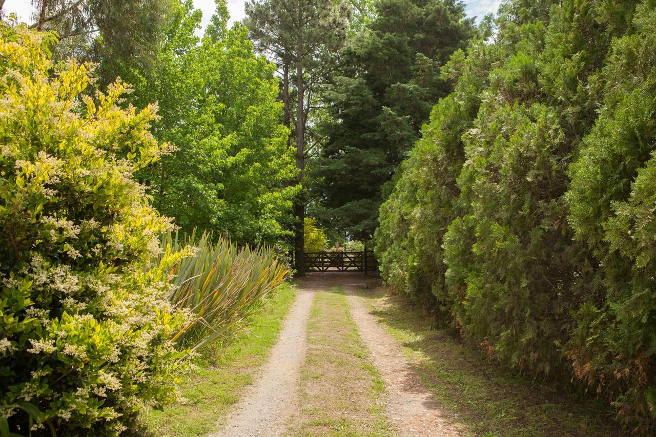 La Chacra - Hotel De Campo & Spa San Pedro  Buitenkant foto
